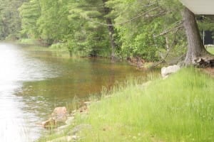 You have to look through the grass that needs to be cut and the docks that aren't in.