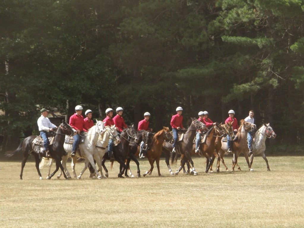 Summer's End Riding Show
