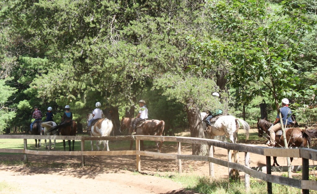 Off into the woods...